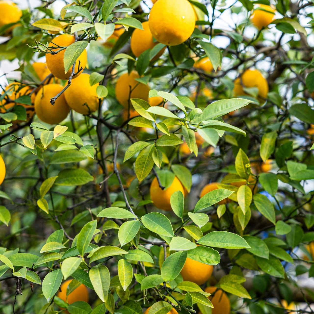 Отзывы. Фотограф Красная Поляна — Сочи — Москва