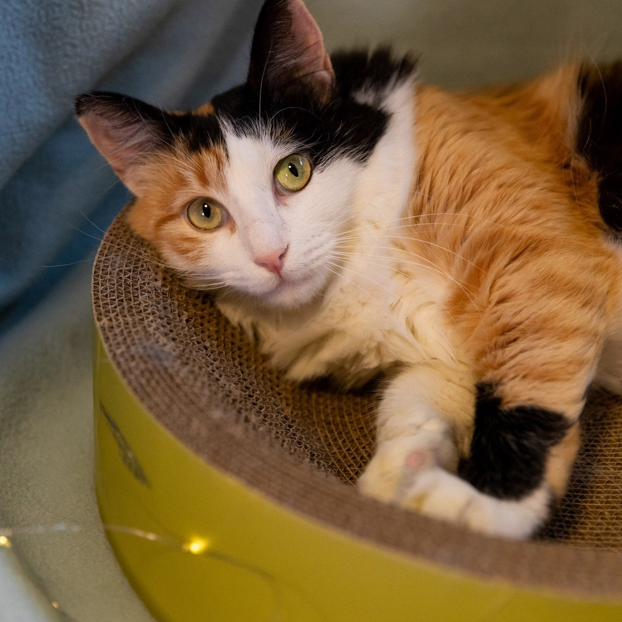 Отзывы. Елизавета Приходько женский фотограф Москва