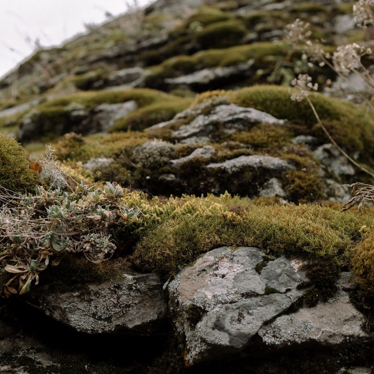 Отзывы. Свадебный фотограф Челябинск Санкт-Петербург Екатеринбург Москва