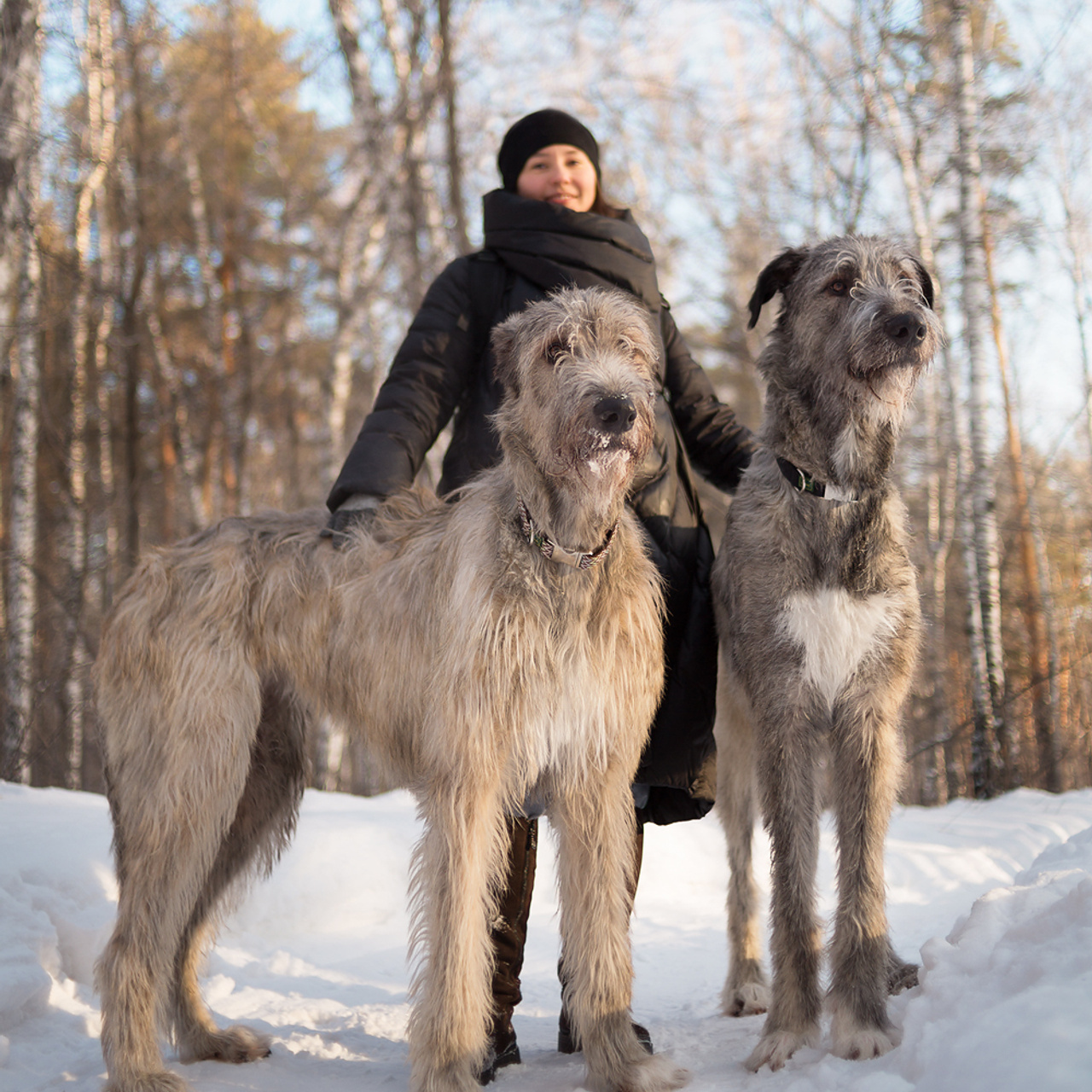 Хан и Марун