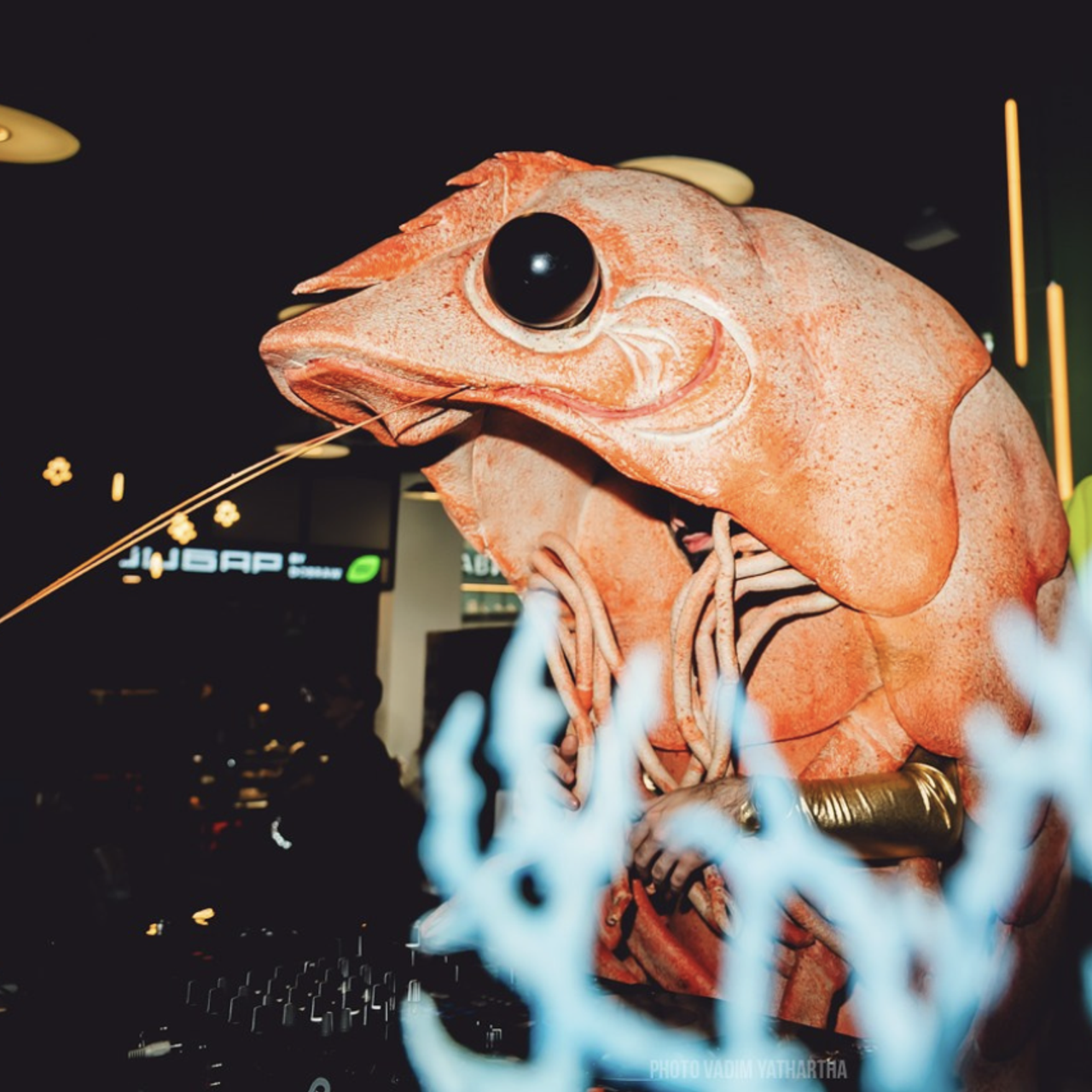 DJ Krevetka AVIAPARK
