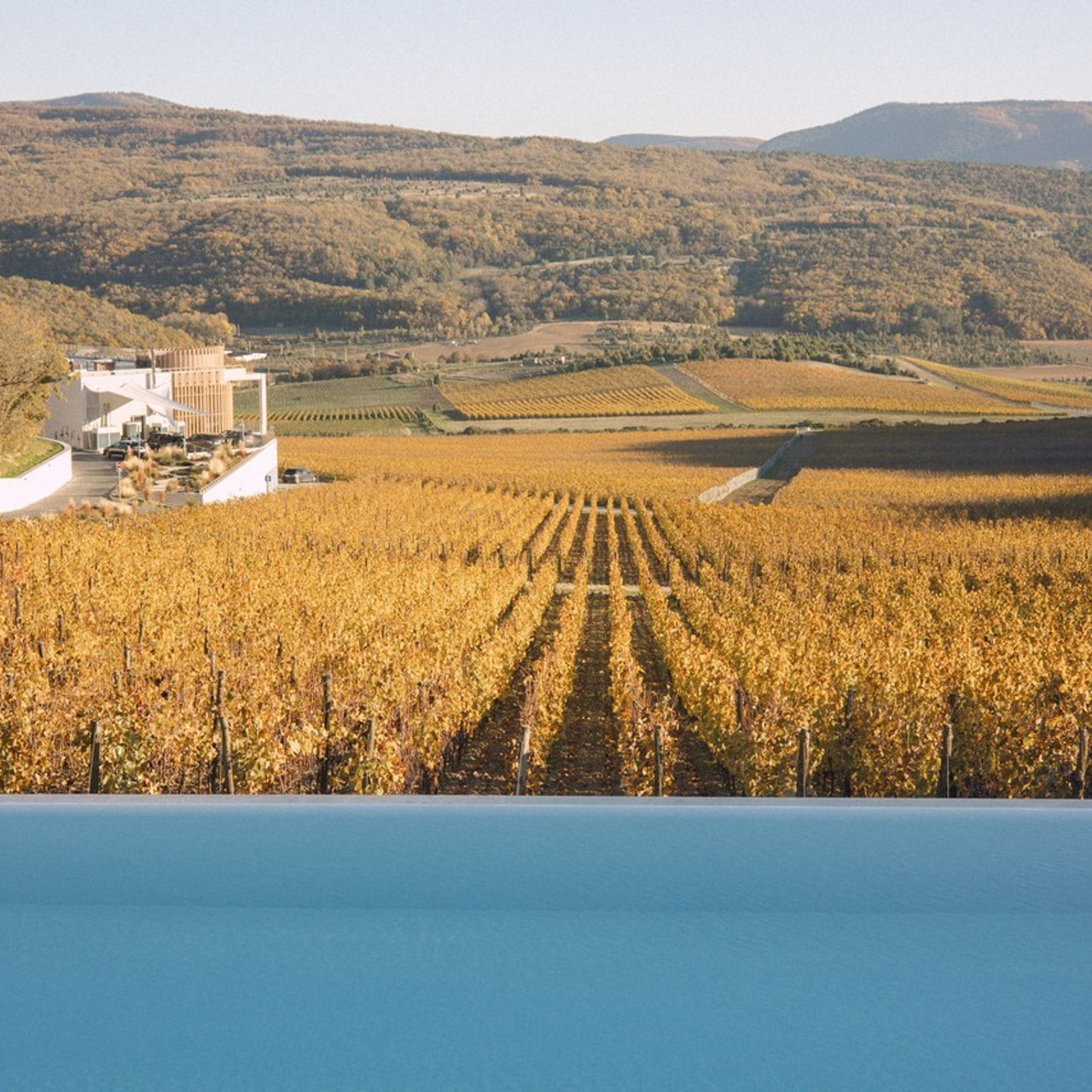 Отзывы. Фотосессии в Крыму. Добро пожаловать в мой Мир