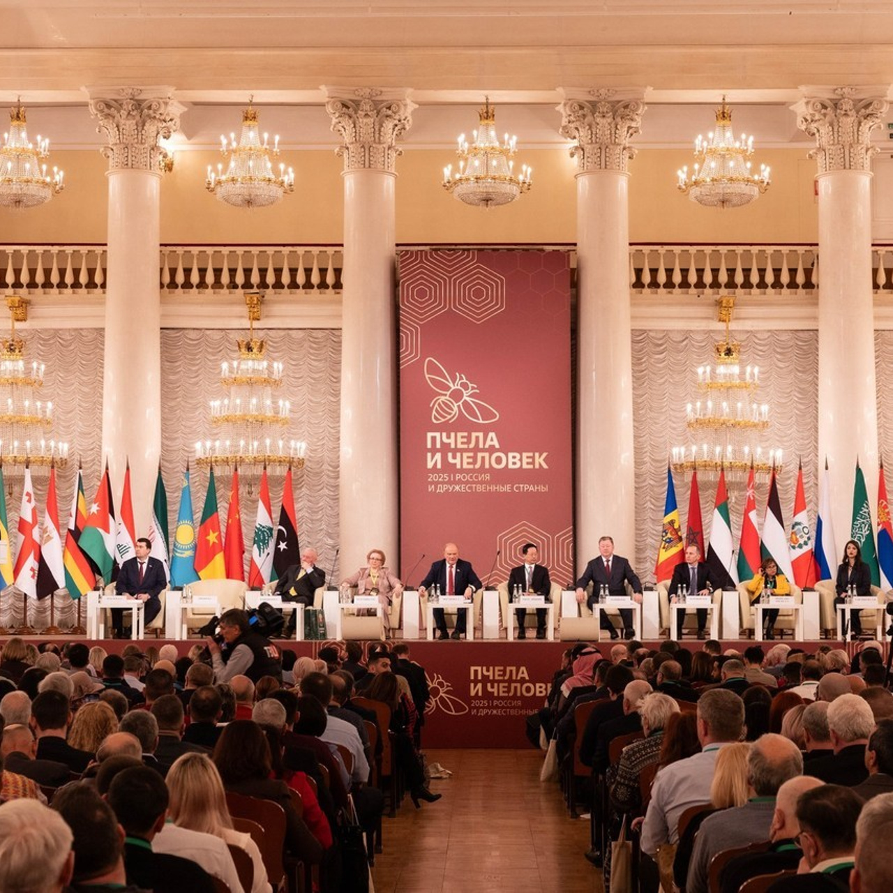 Отзывы. Семейный фотограф Регина Чудо