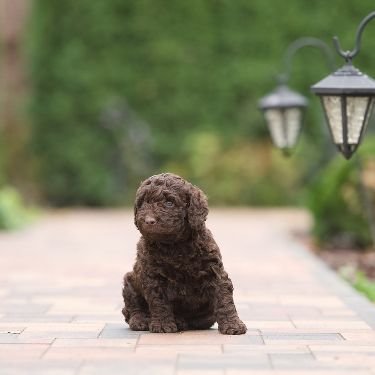 Отзывы. Фотостудия Studio419 в Петергофе. Пространство для творчества