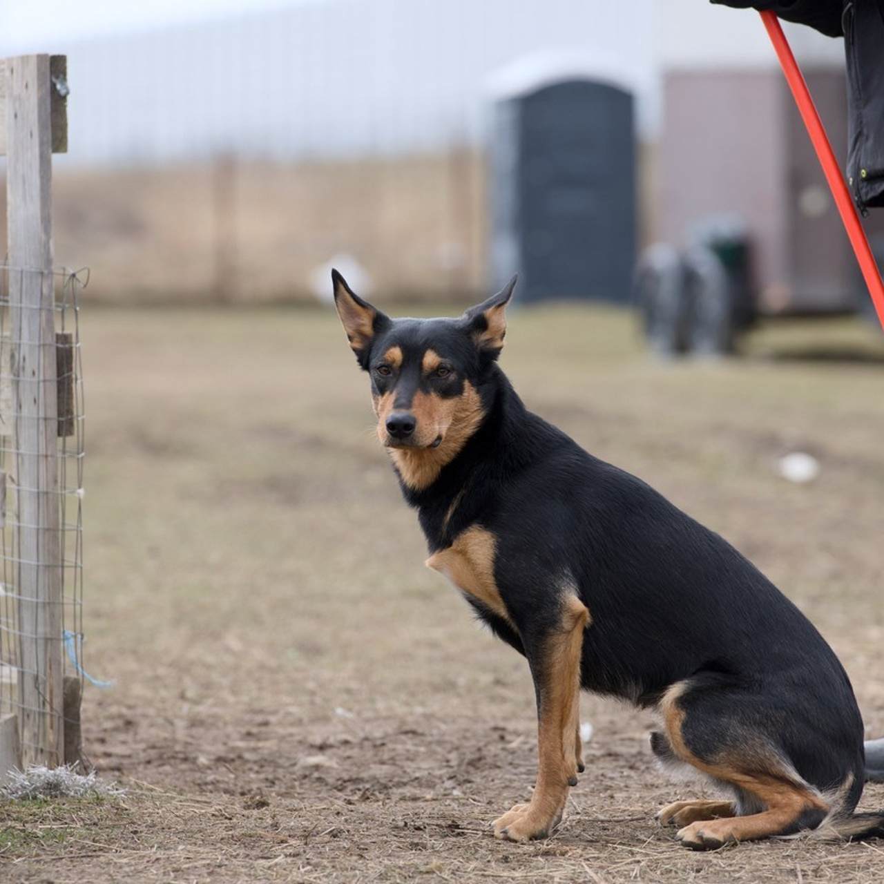 Отзывы. Фотостудия Studio419 в Петергофе. Пространство для творчества