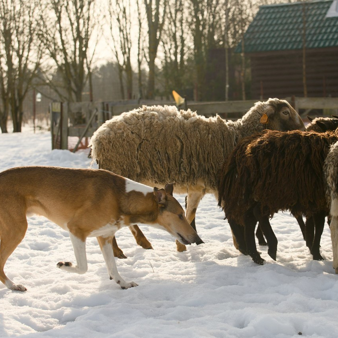 Отзывы. Фотостудия Studio419 в Петергофе. Пространство для творчества