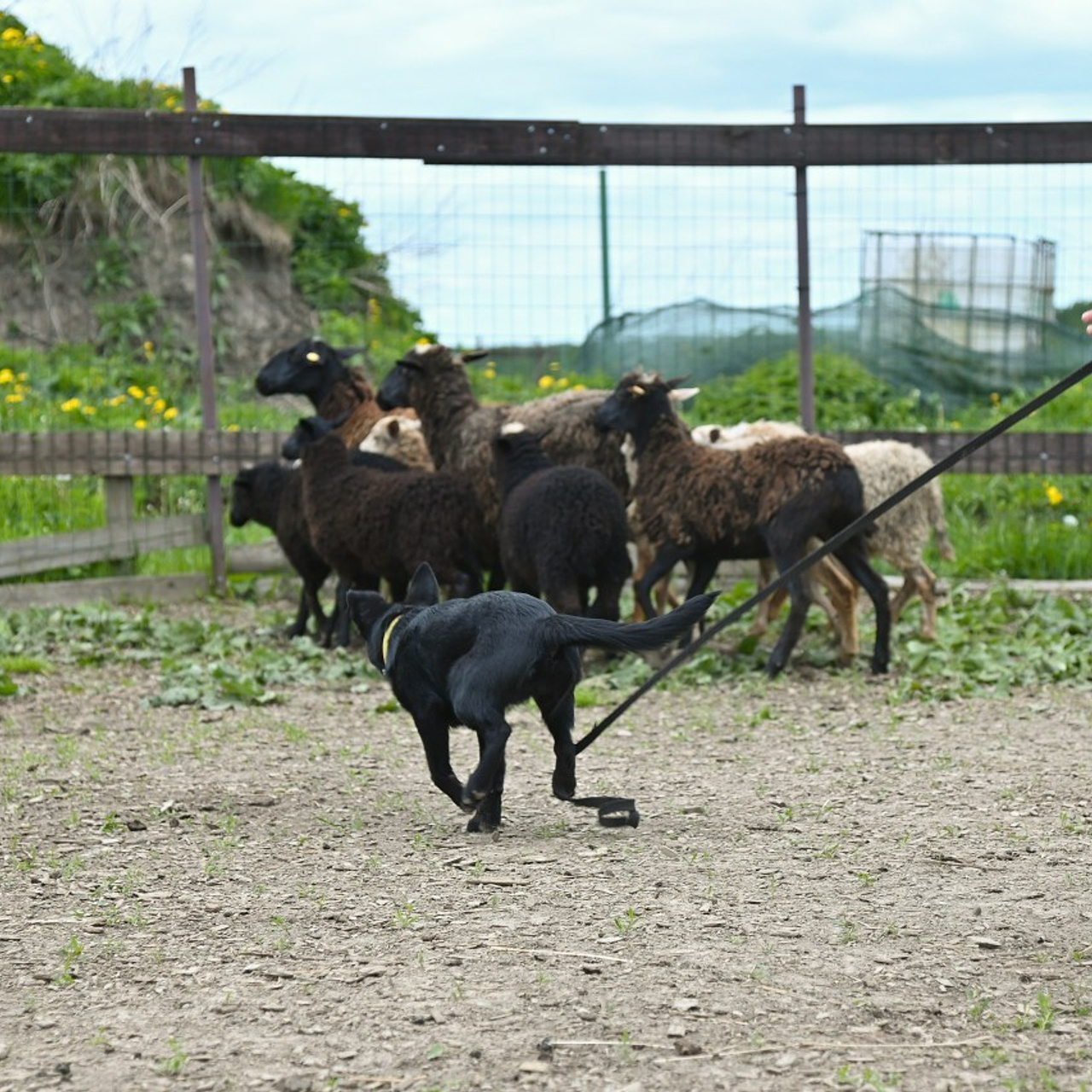 Отзывы. Фотостудия Studio419 в Петергофе. Пространство для творчества