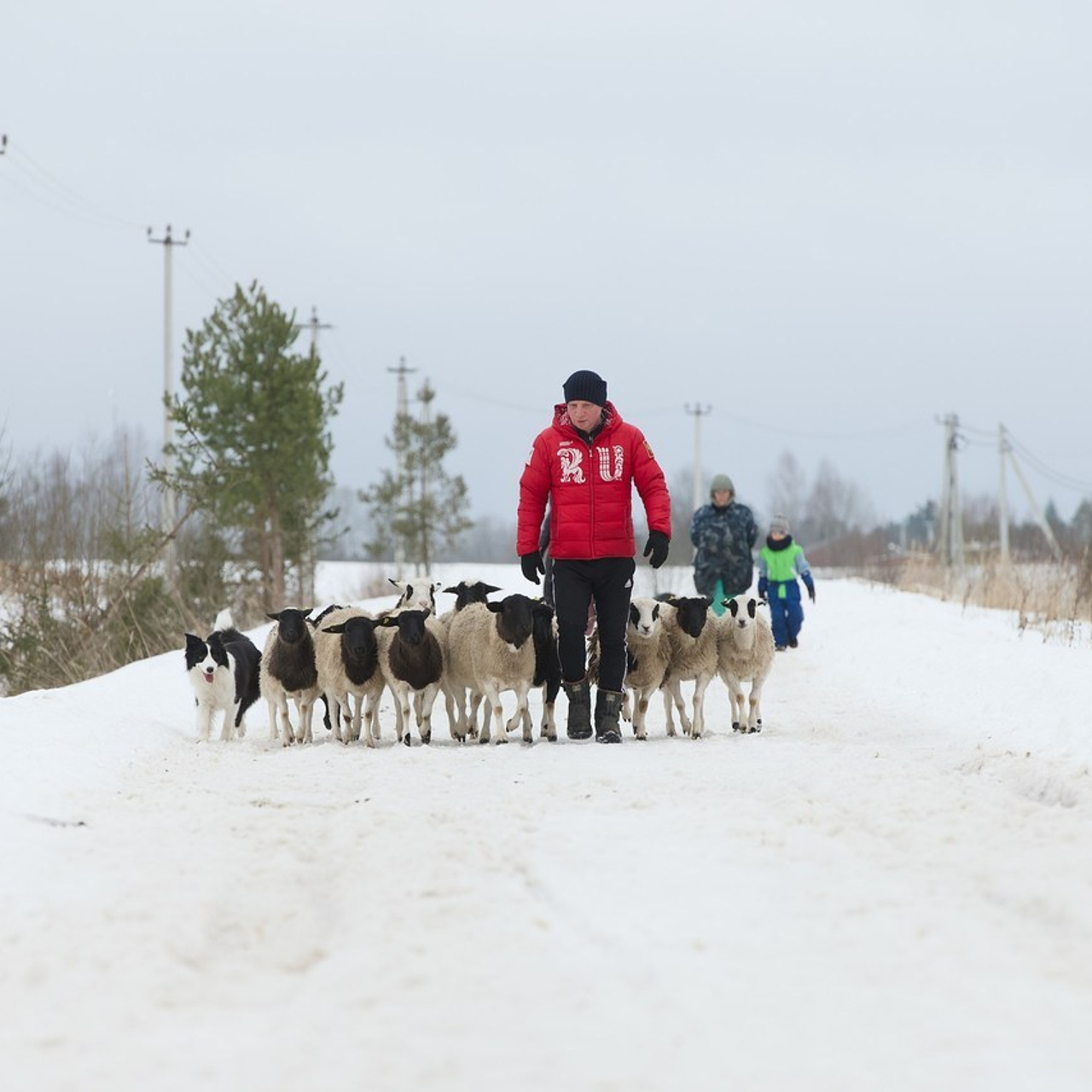 Отзывы. Фотостудия Studio419 в Петергофе. Пространство для творчества