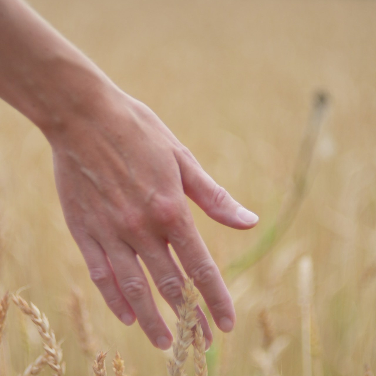 Отзывы. ФОТОГРАФ ЧИКАЧЕВ КИРИЛЛ