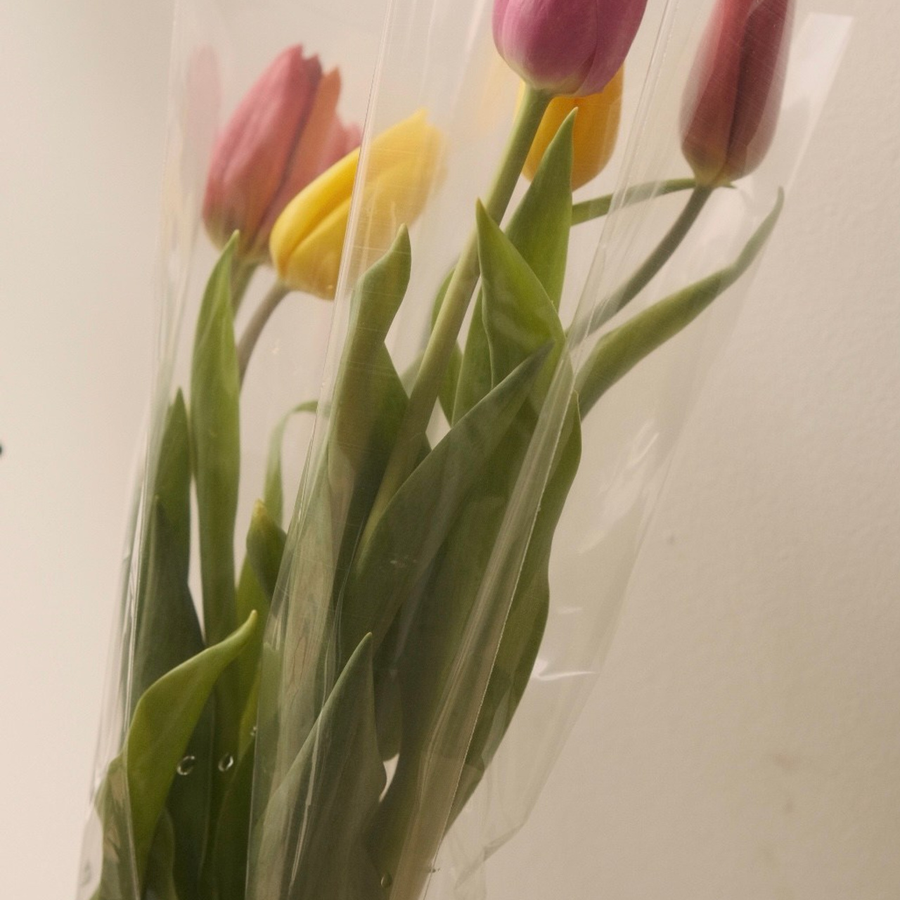 Отзывы. Фотограф, видеограф в Санкт-Петербурге