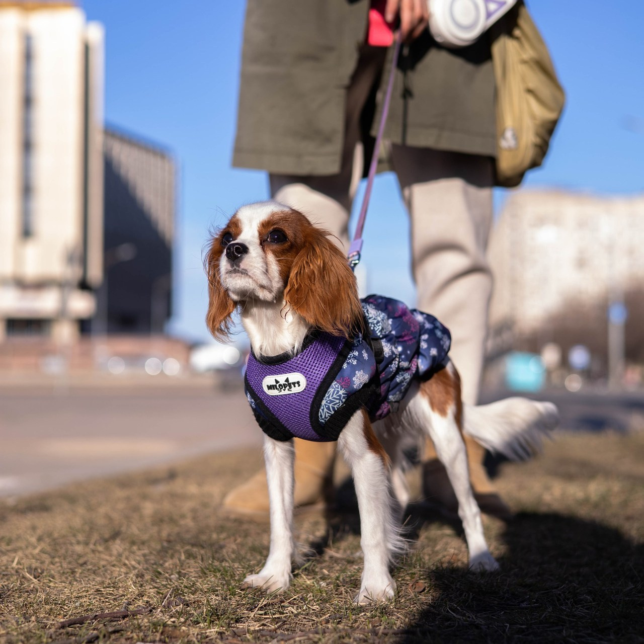 Отзывы. Фотограф Татьяна Власова