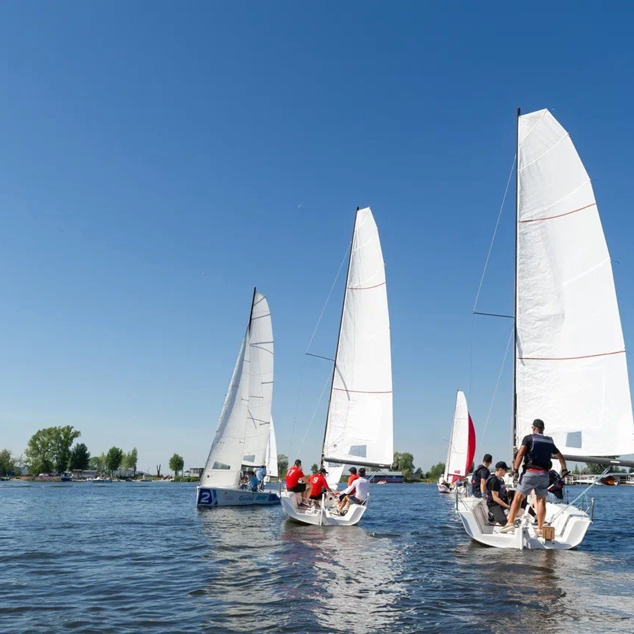 Парусная регата