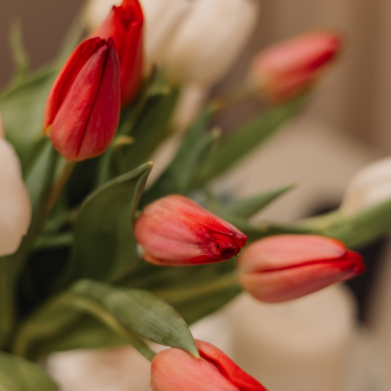 Отзывы. Анастасия Желамская. Фотограф. Москва