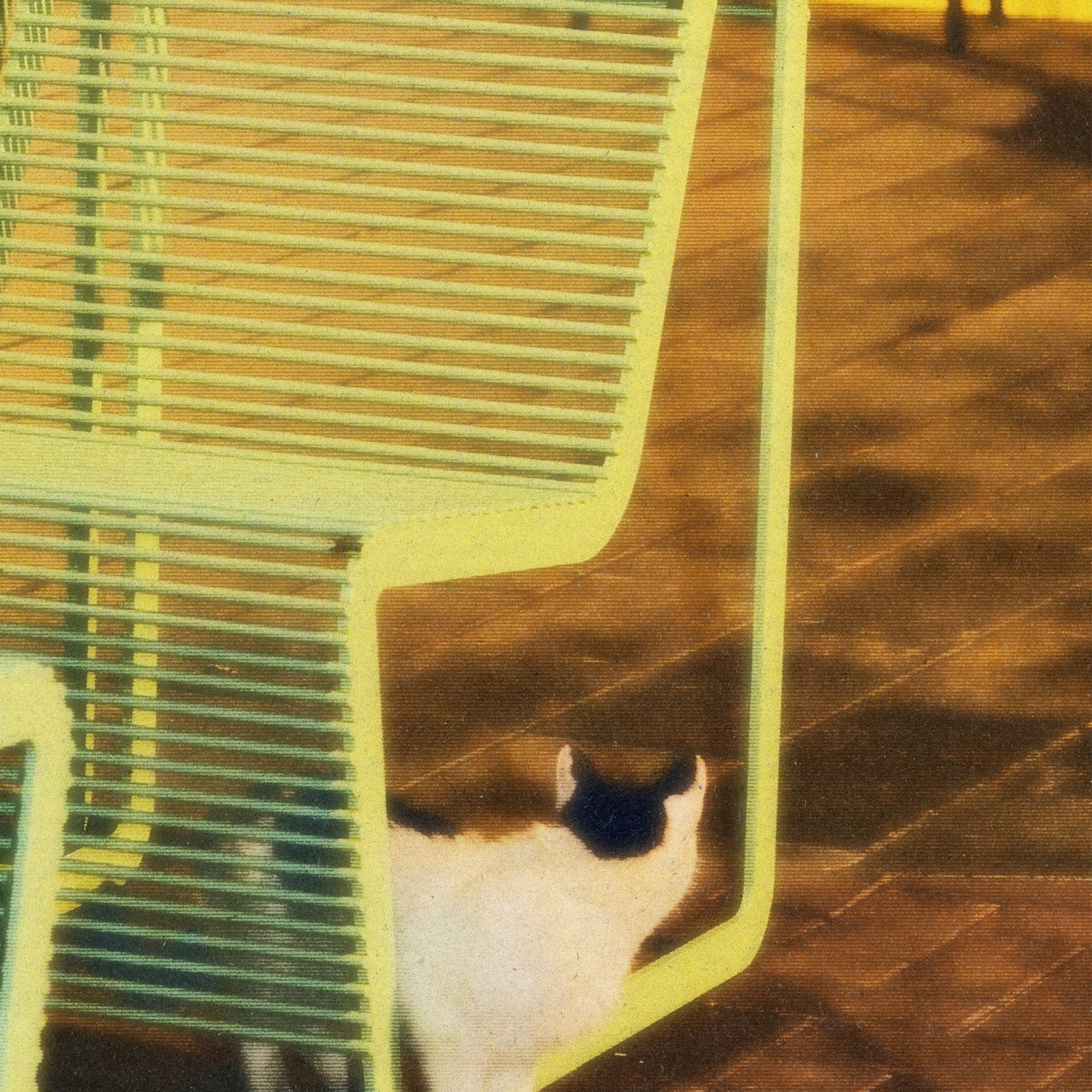 Vcut studio| Фотограф Валерия Мустаева