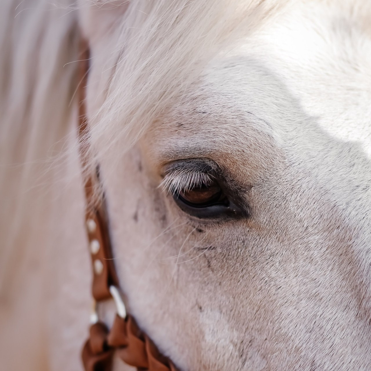 Отзывы. Контакты