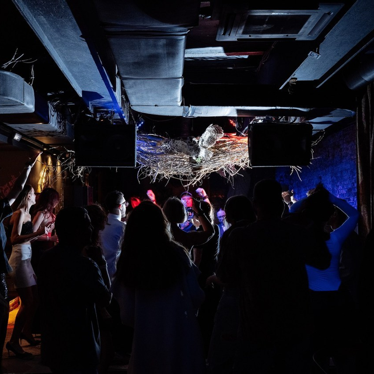 Отзывы. Свадебный и семейный фотограф в Ростове-на-Дону Алина Астахова