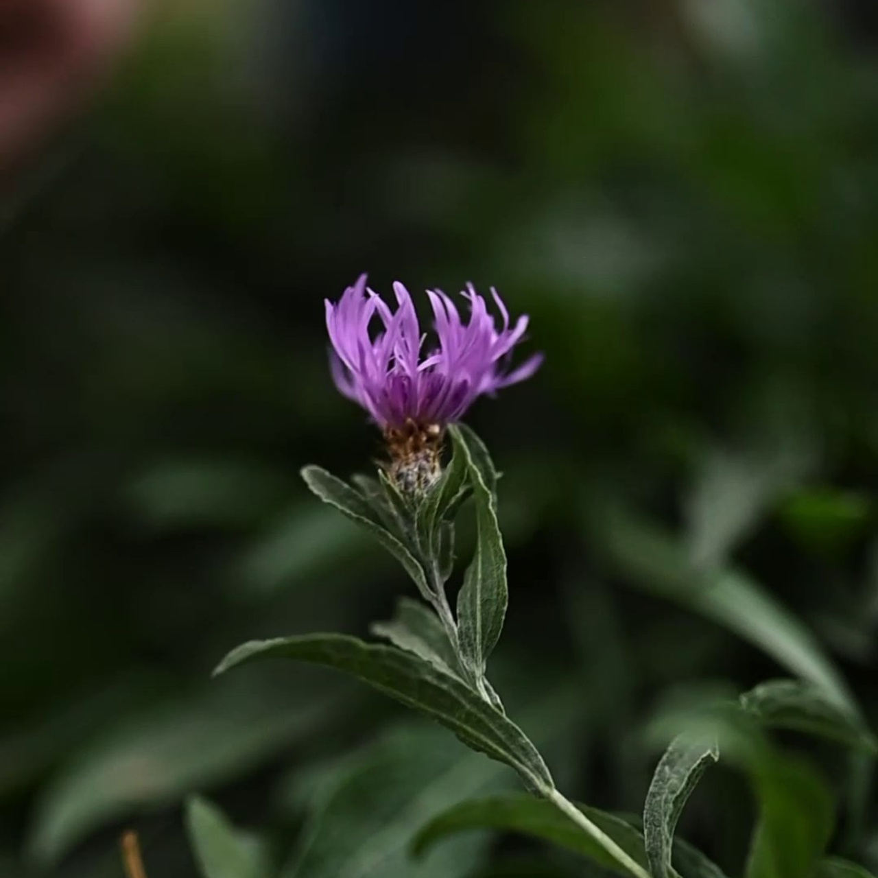 Отзывы. Фотограф в Алматы Татьяна Ковалева