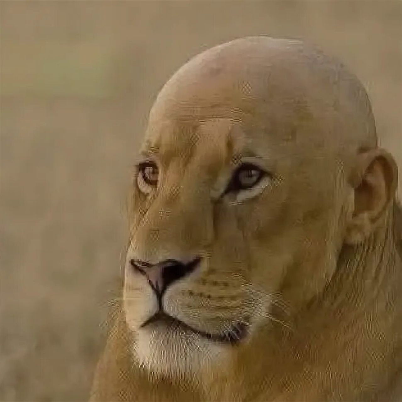 Отзывы. Разноплановый фотограф из Москвы/Твери