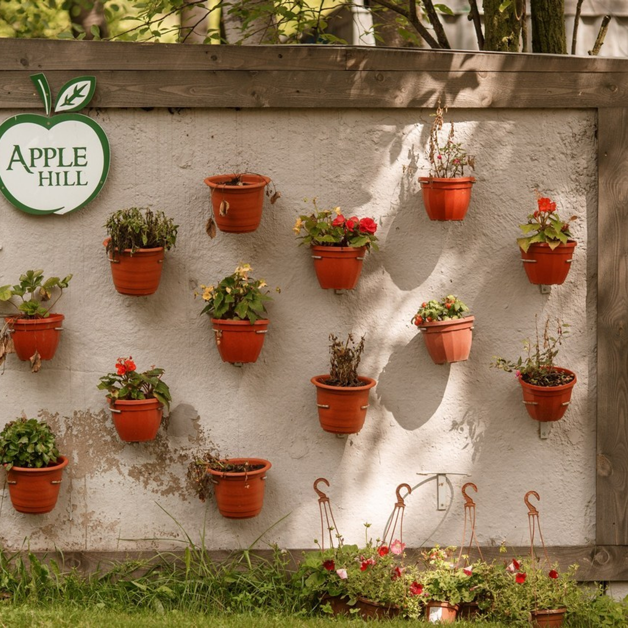 Отзывы. Репортажный фотограф Борис Геер