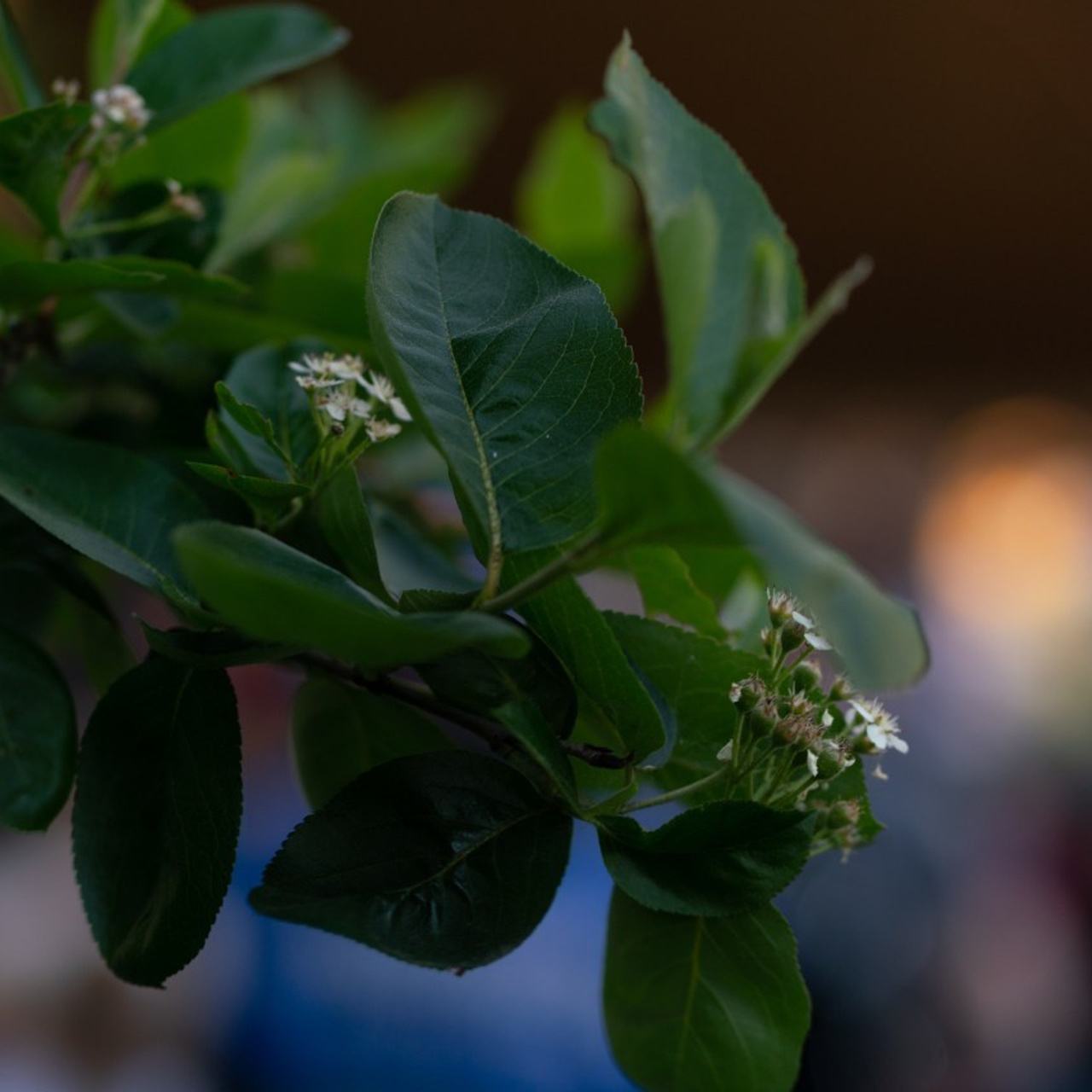 Отзывы. Фотограф Москвы Китанина Елена