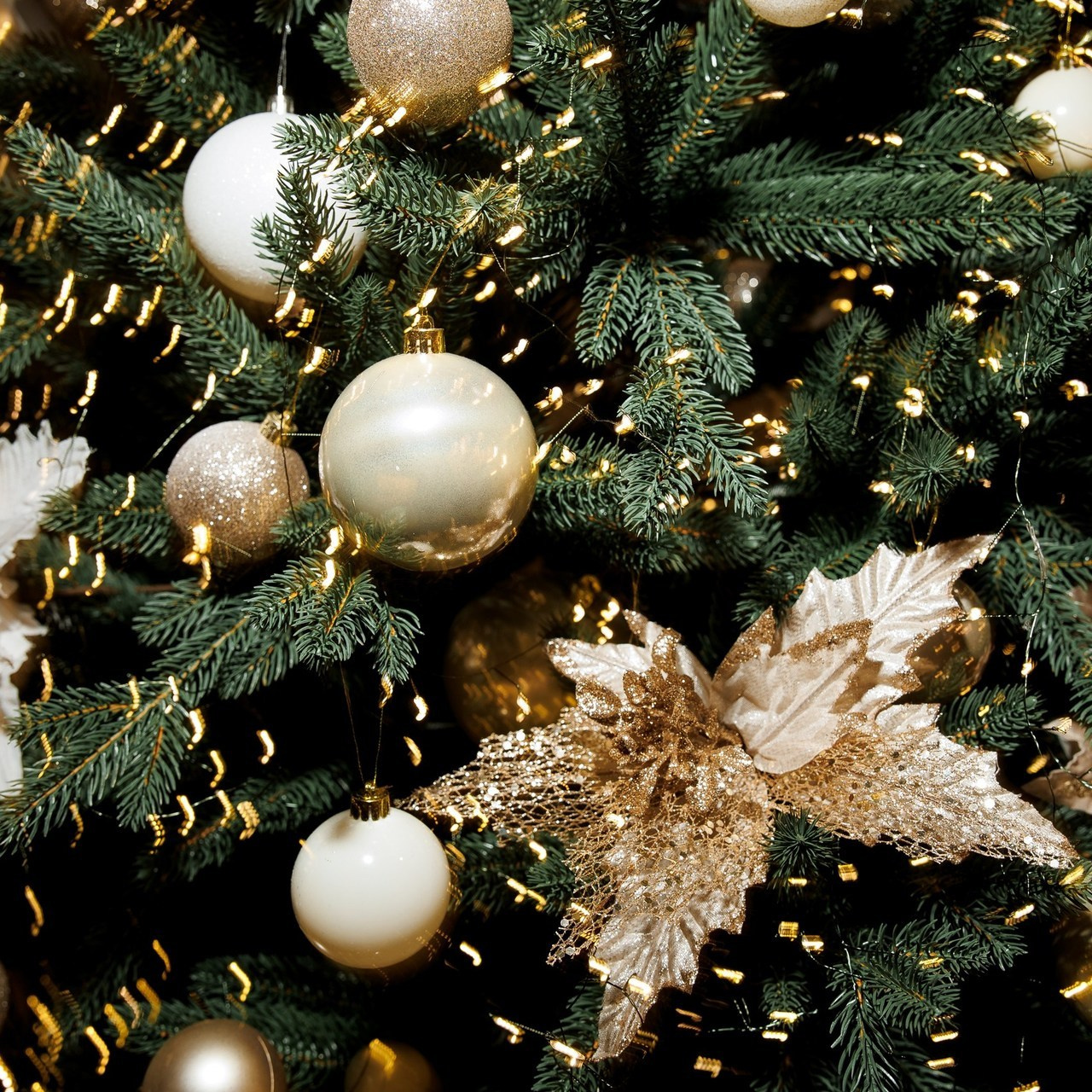 Reviews. Свадебный фотограф Каледич Тимофей