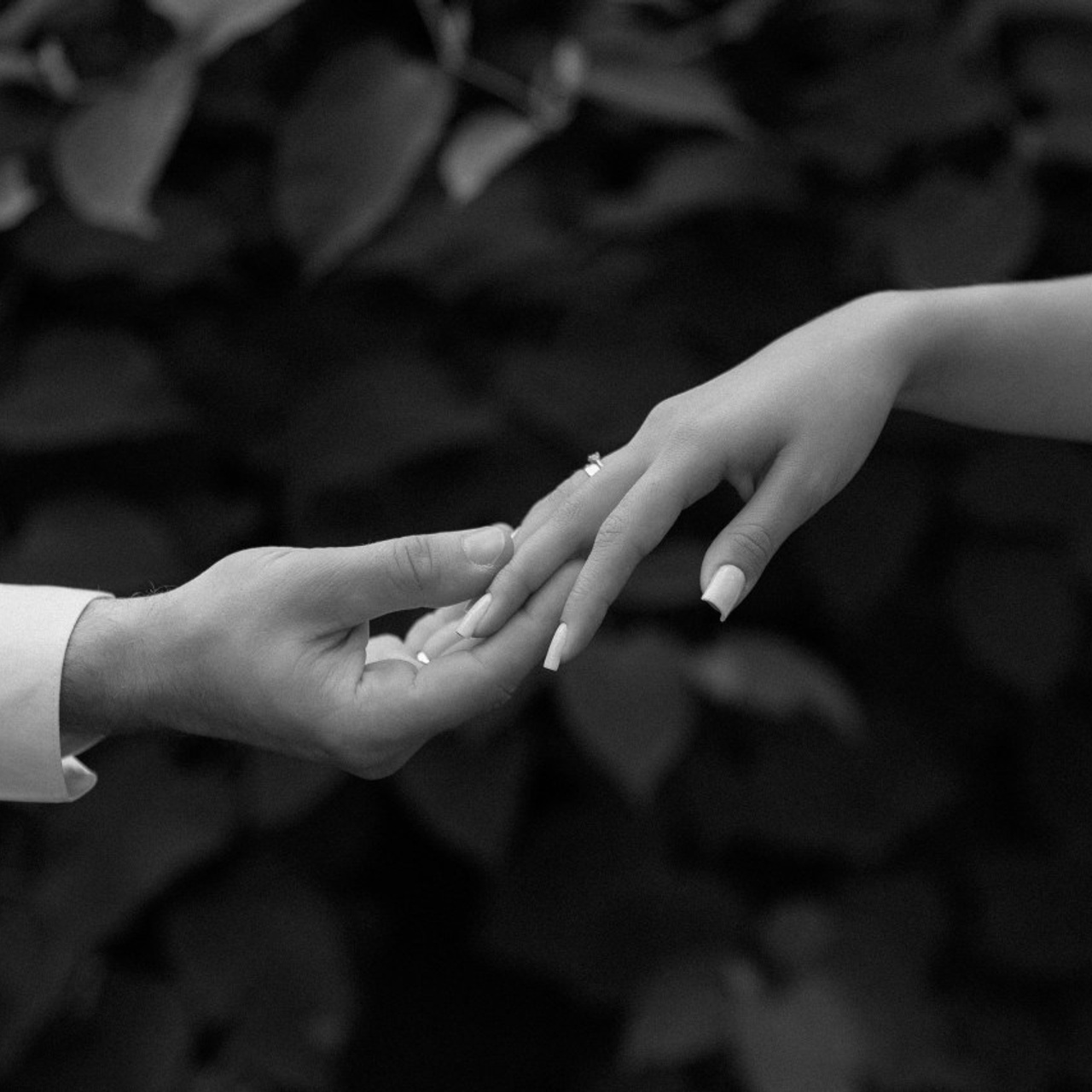 Отзывы. Фотограф Петр Капралов