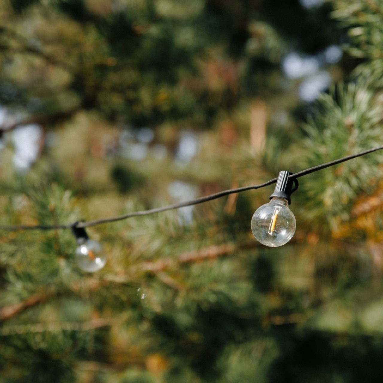 Отзывы. Фотограф Петр Капралов