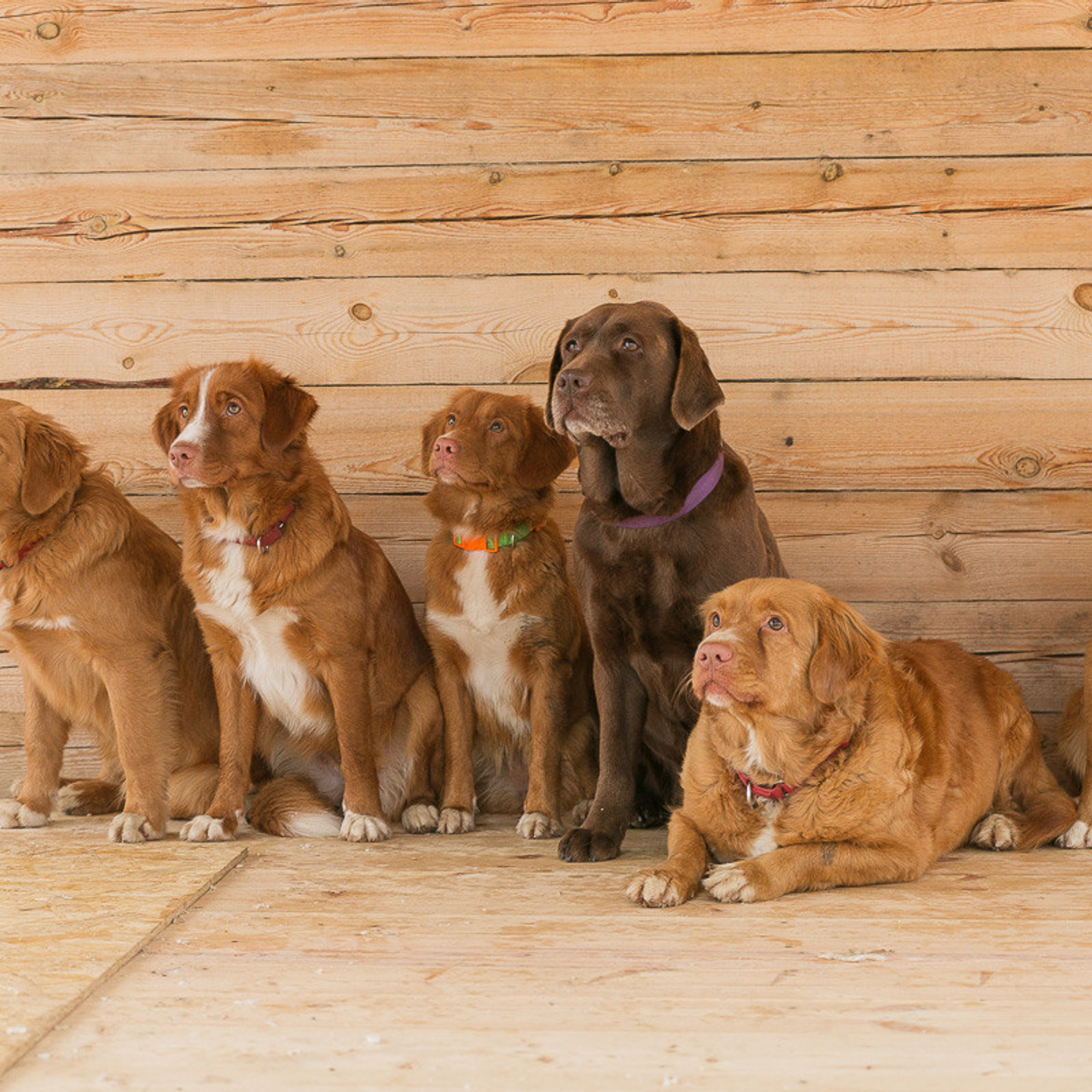 Отзывы фуд-фотограф Оксана Павлова. Рекламная и food съемка в Екатеринбурге Оксана Павлова