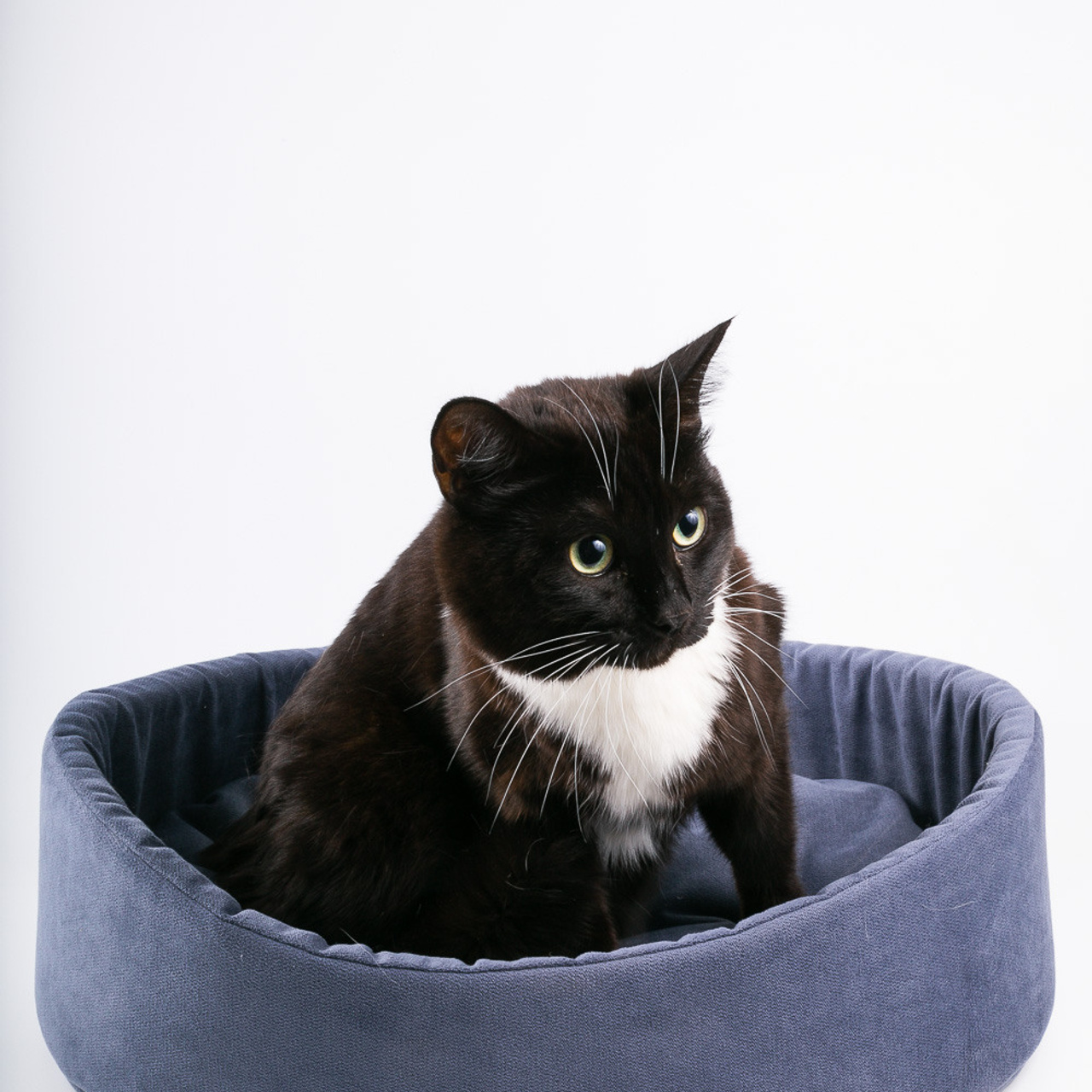 Отзывы фуд-фотограф Оксана Павлова. Рекламная и food съемка в Екатеринбурге Оксана Павлова