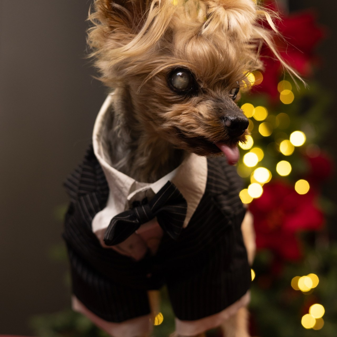 Отзывы реальных клиентов после получения фотографий. Портретный, свадебный, репортажный фотограф во Владивостоке Юлиана Джули Фокс