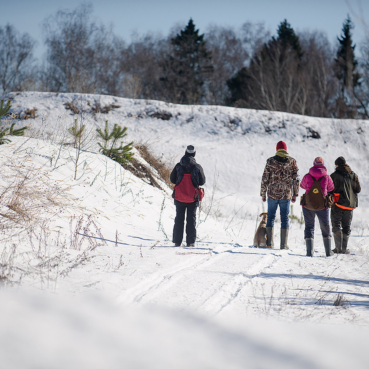 Отзывы. Фотограф-анималист Наталья Светличная