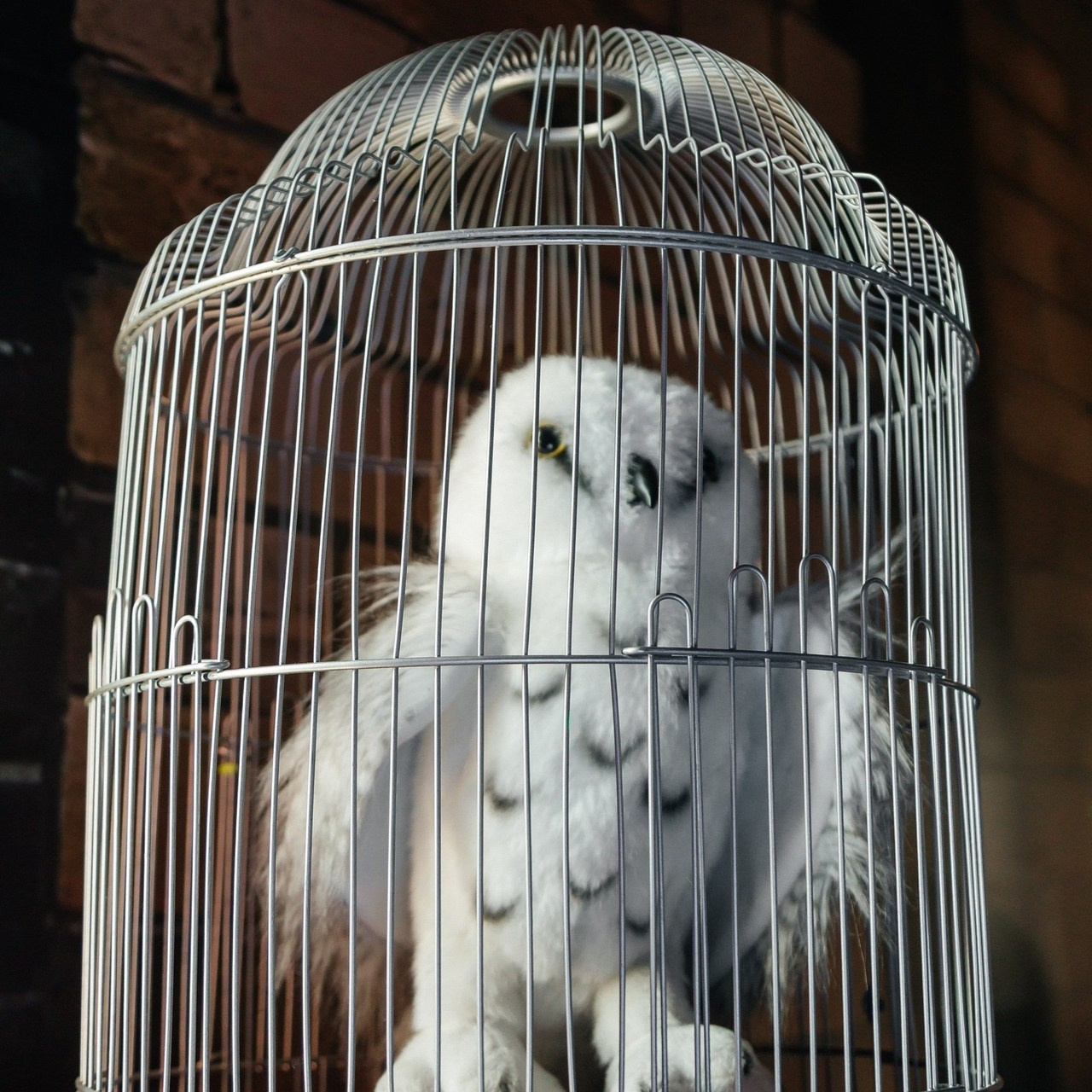 Отзывы. Фотограф Улан-Удэ/Иркутск Алекс Жданов