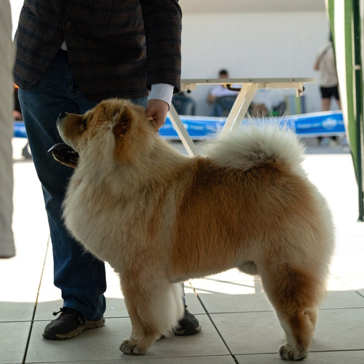 Отзывы. Фотограф-анималист|Иркутск