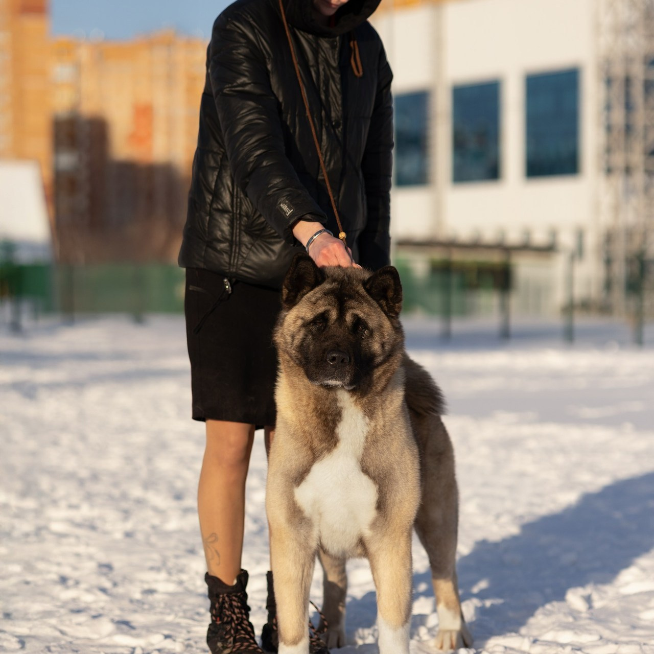 Отзывы. Фотограф-анималист|Иркутск