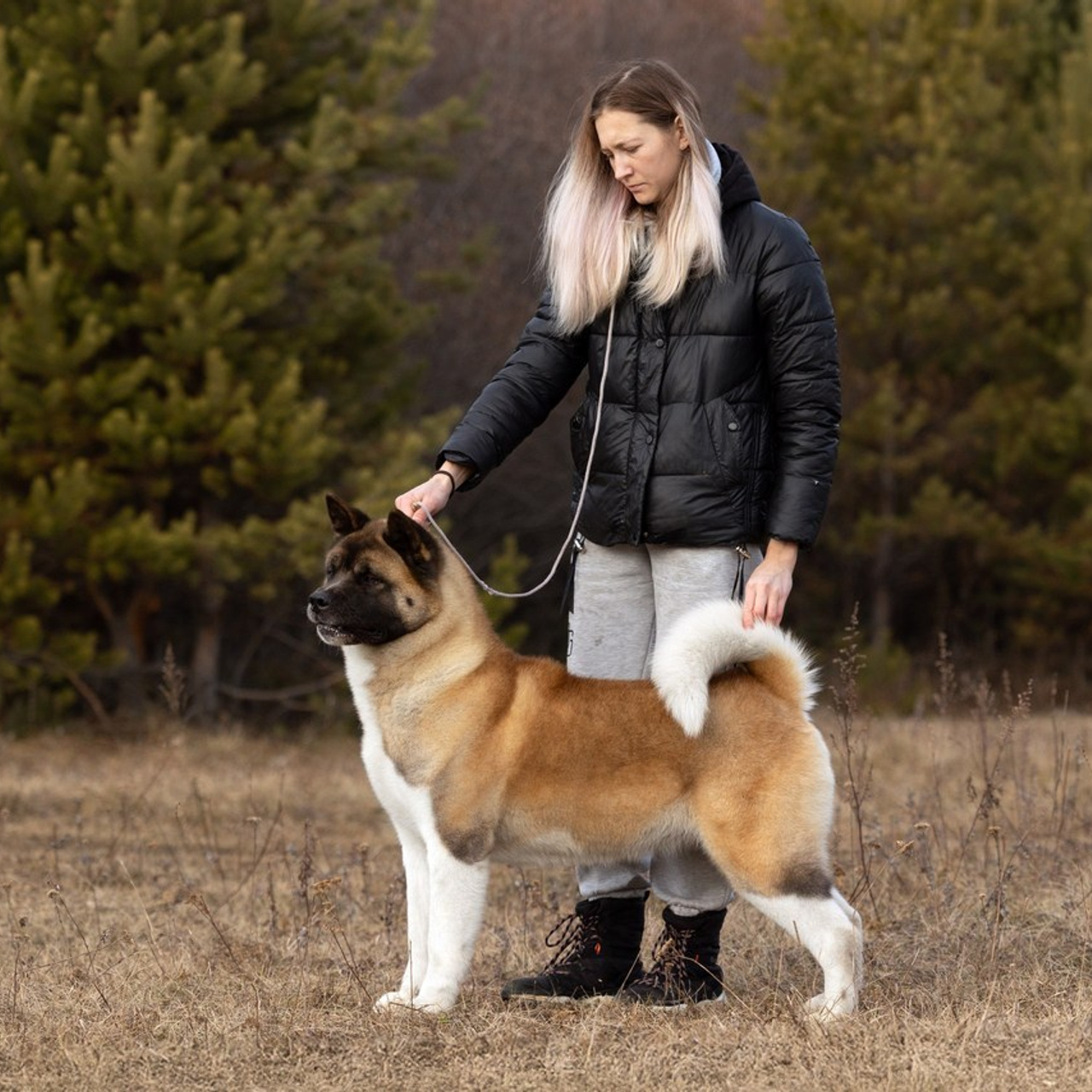 Отзывы. Фотограф-анималист|Иркутск