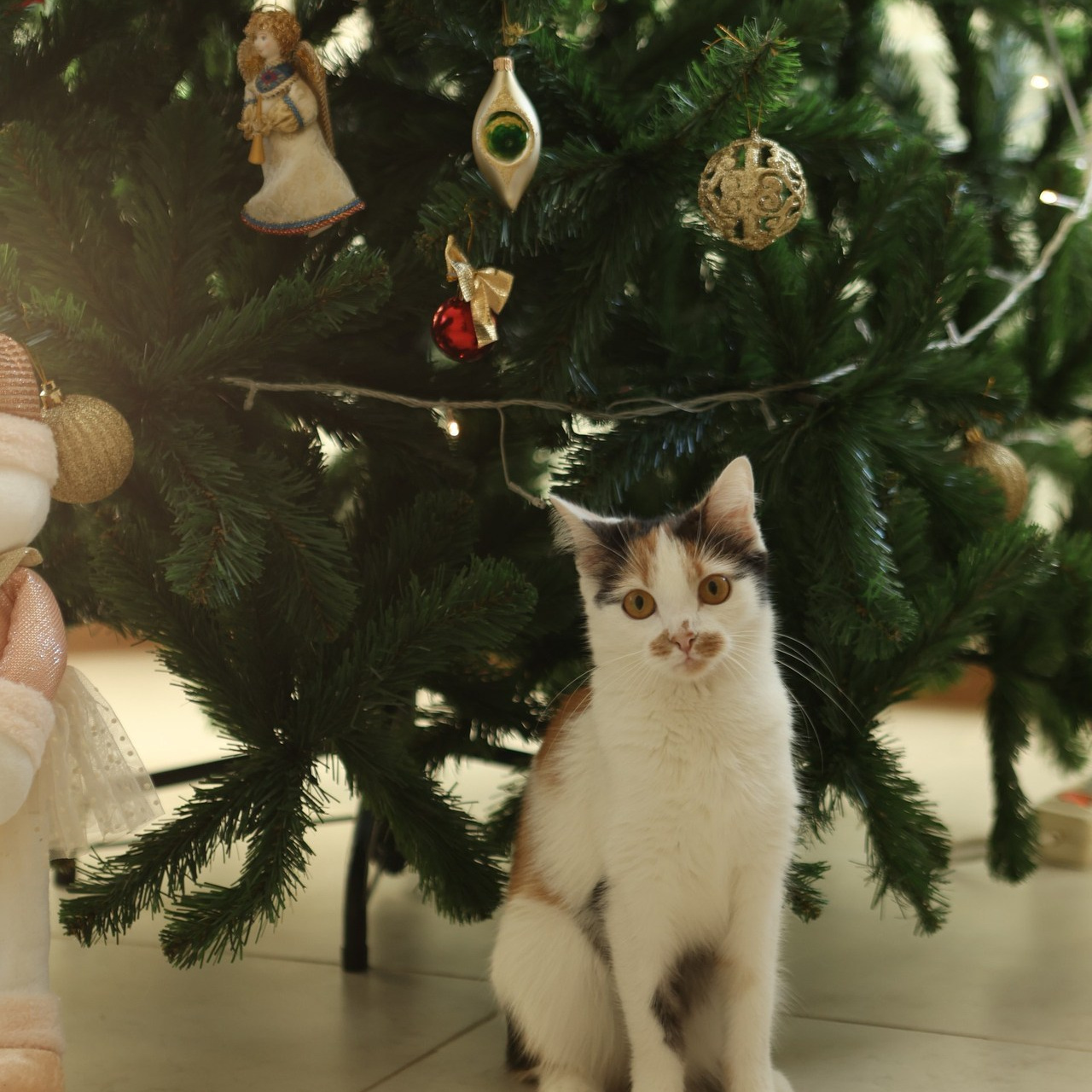 Отзывы о фотографе — NIZHENKOKR. Фотограф NIZHENKO.KRISTINA в Старом Осколе — Профессиональная Фотосъемка!