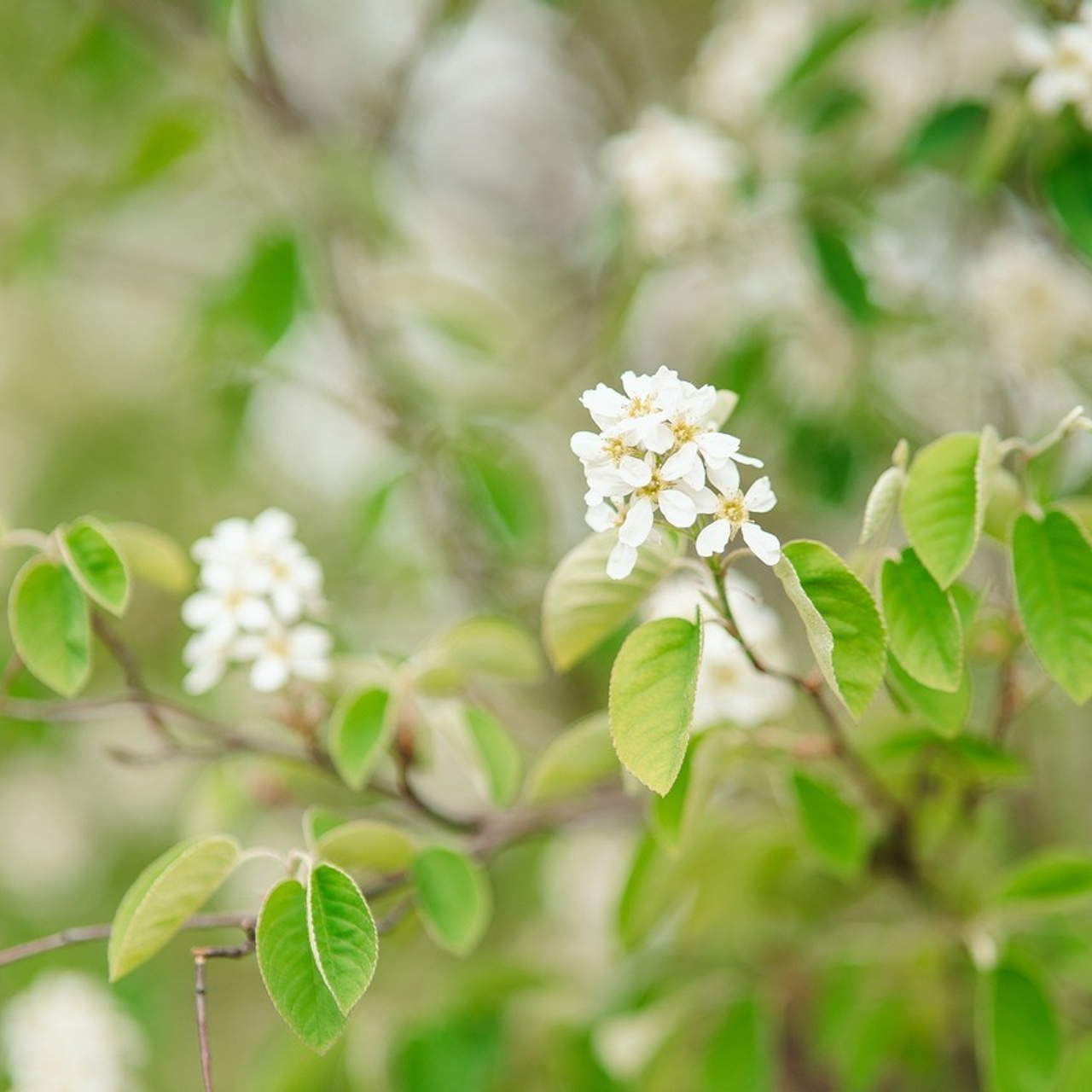 Отзывы. Фотограф Кемерово Анна Князева