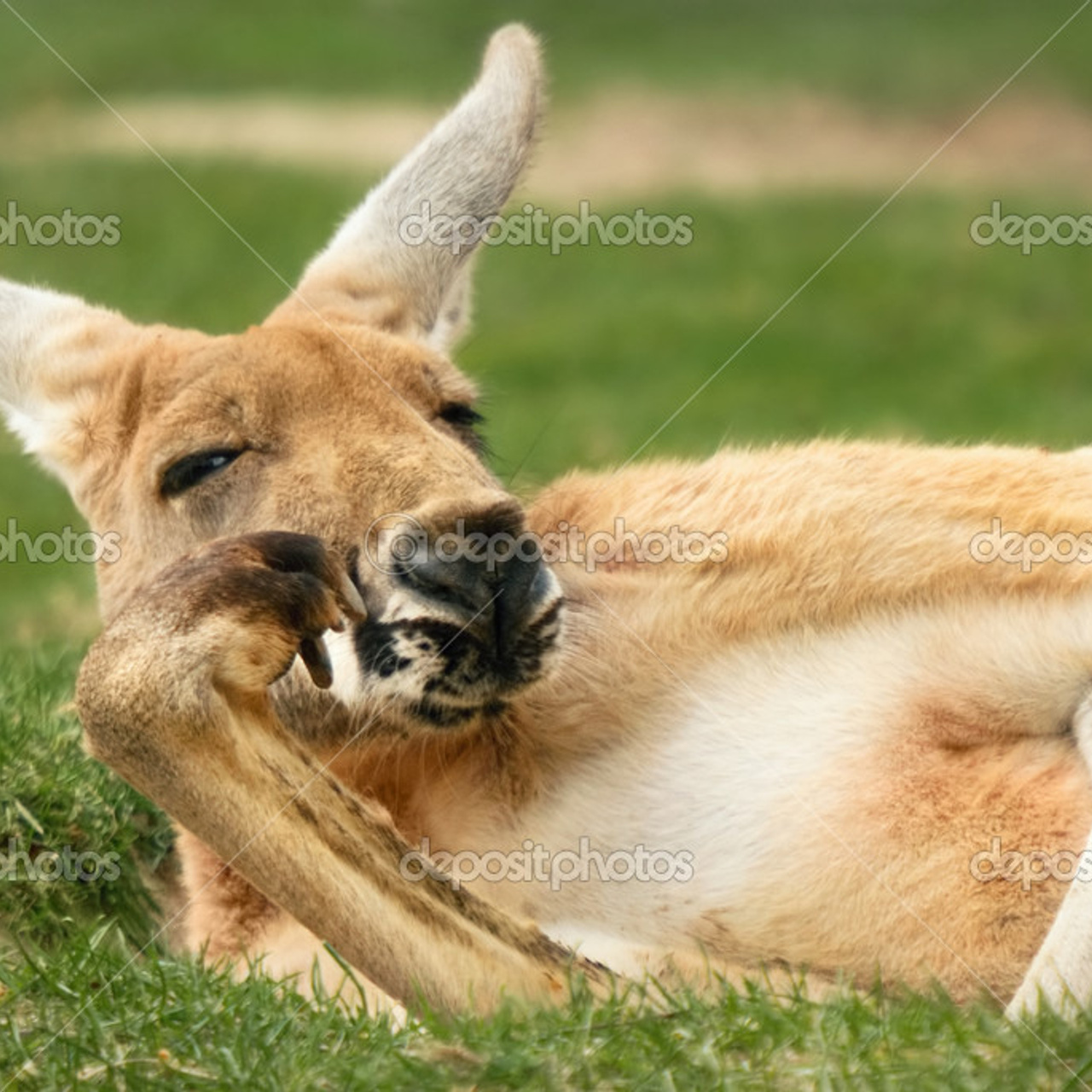 Отзывы. Студия архитектуры и дизайна AR.CHITECT.OR