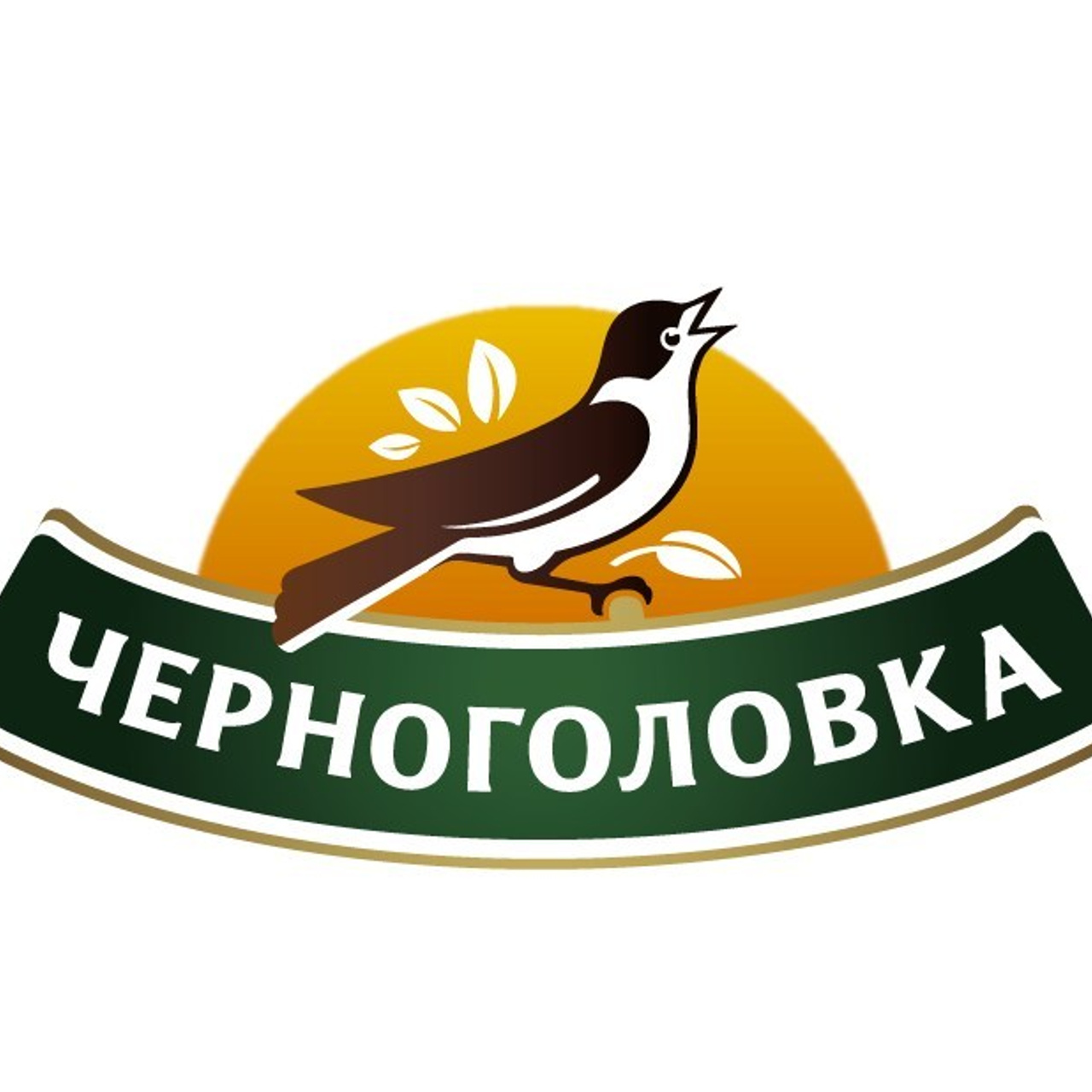 Отзывы. Студия для съемки фото и видео в Москве