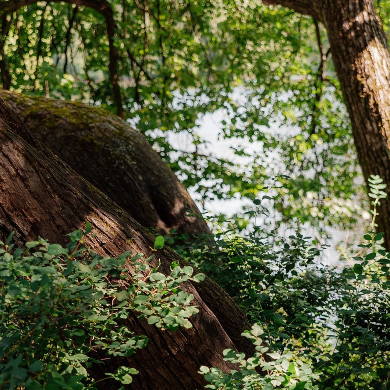 Отзывы. Свадебный и репортажный фотограф СПб