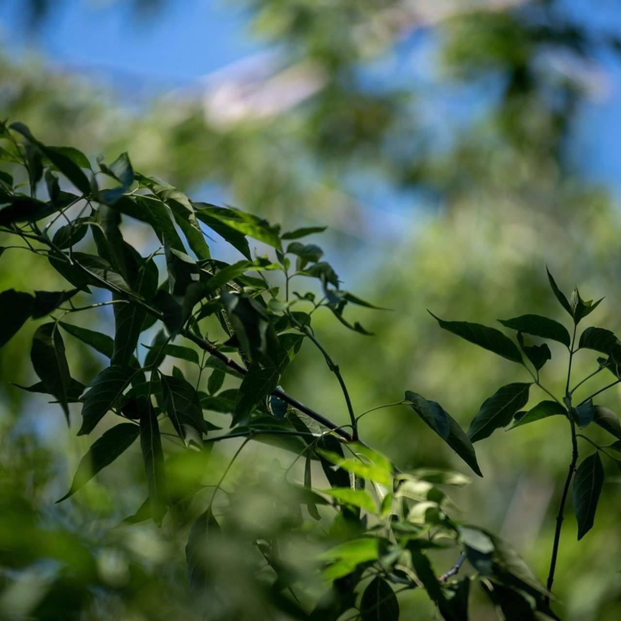 Отзывы. Фотограф в Новосибирске Валерия Степаненко