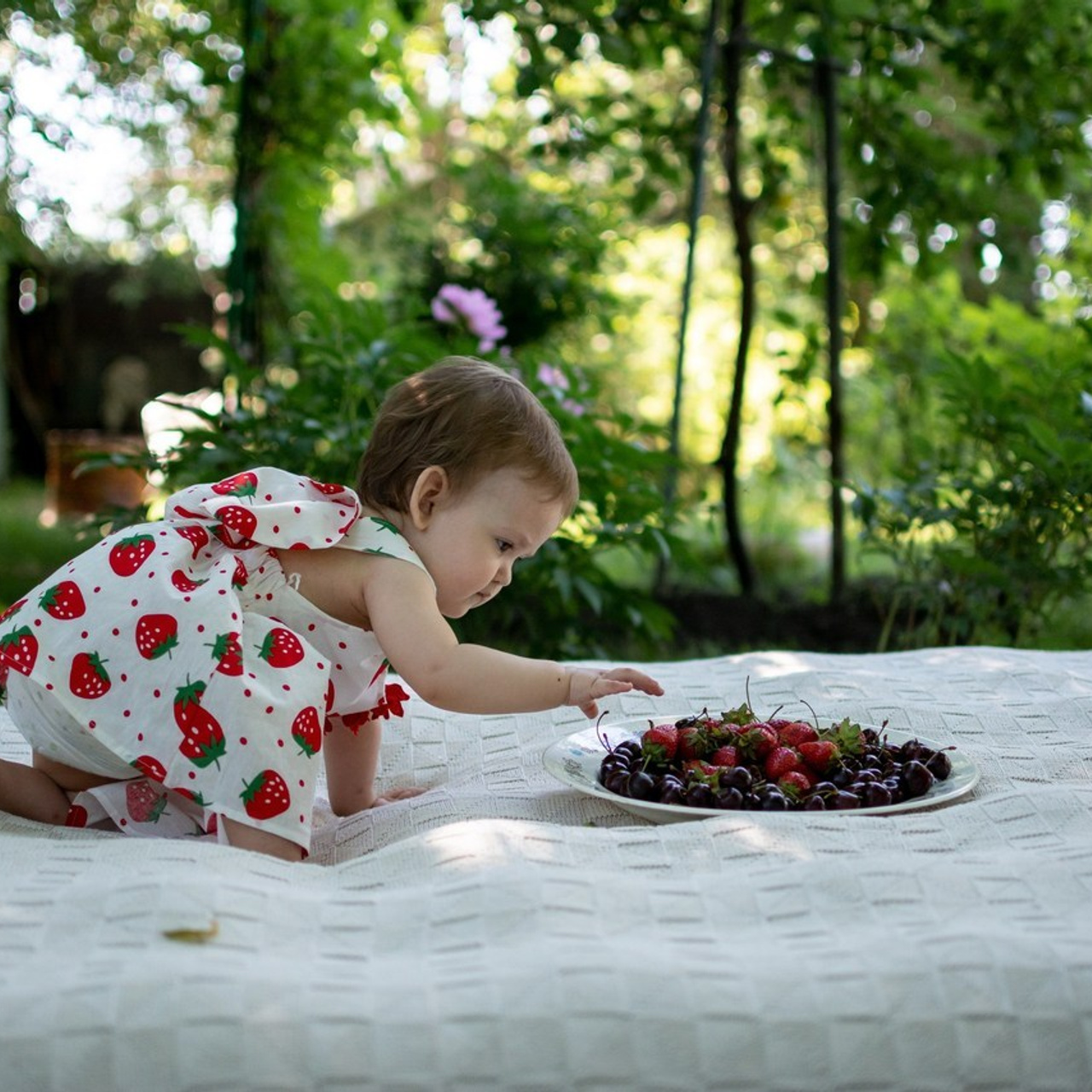 Отзывы. Фотограф в Новосибирске Валерия Степаненко