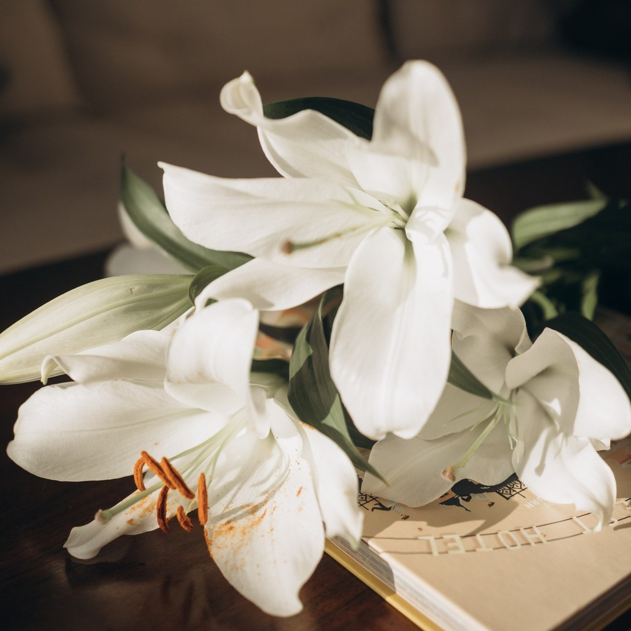 Отзывы. Фотограф в Иваново и Суздале