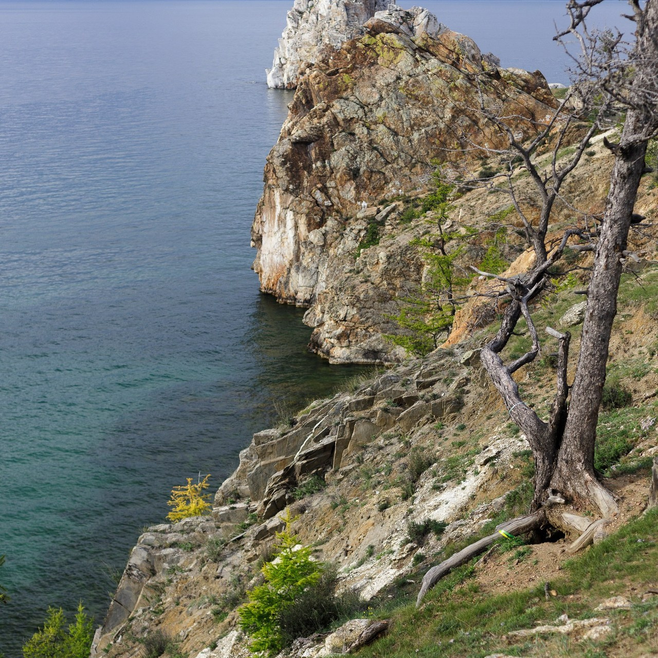 Отзывы. Фотограф Ольхон/ Индия, Регина