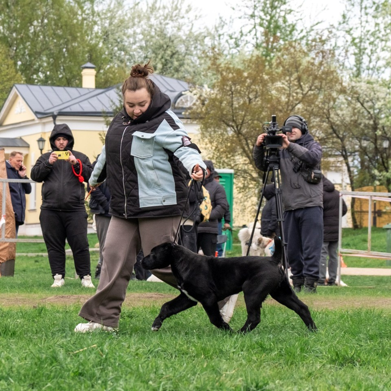 Отзывы. Зоофотограф, фотограф животных в Москве и области Дина Дамоцева
