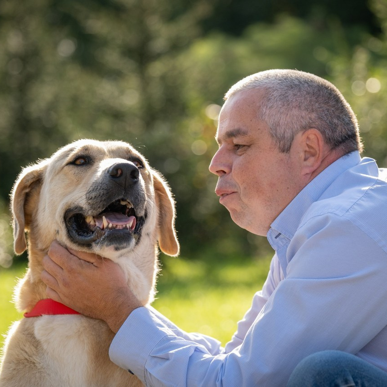 Отзывы. Зоофотограф, фотограф животных в Москве и области Дина Дамоцева