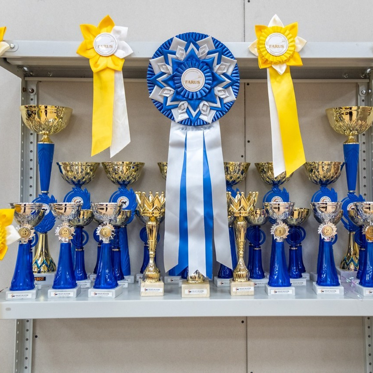 Отзывы. Зоофотограф, фотограф животных в Москве и области Дина Дамоцева