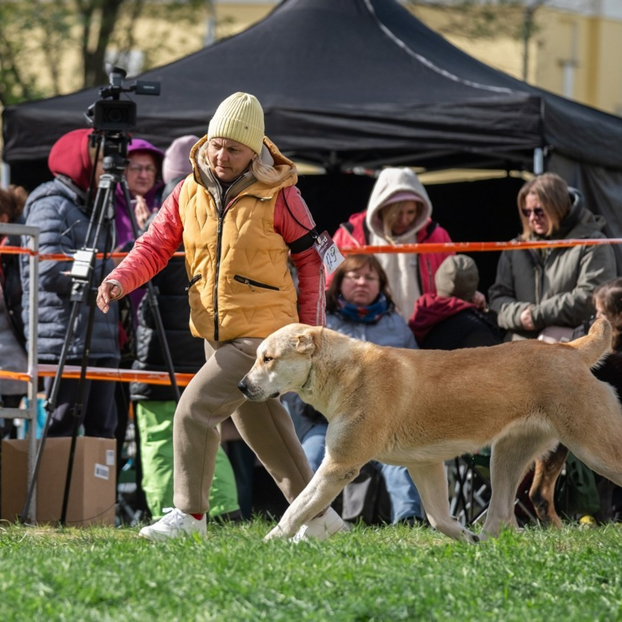 Отзывы. Зоофотограф, фотограф животных в Москве и области Дина Дамоцева