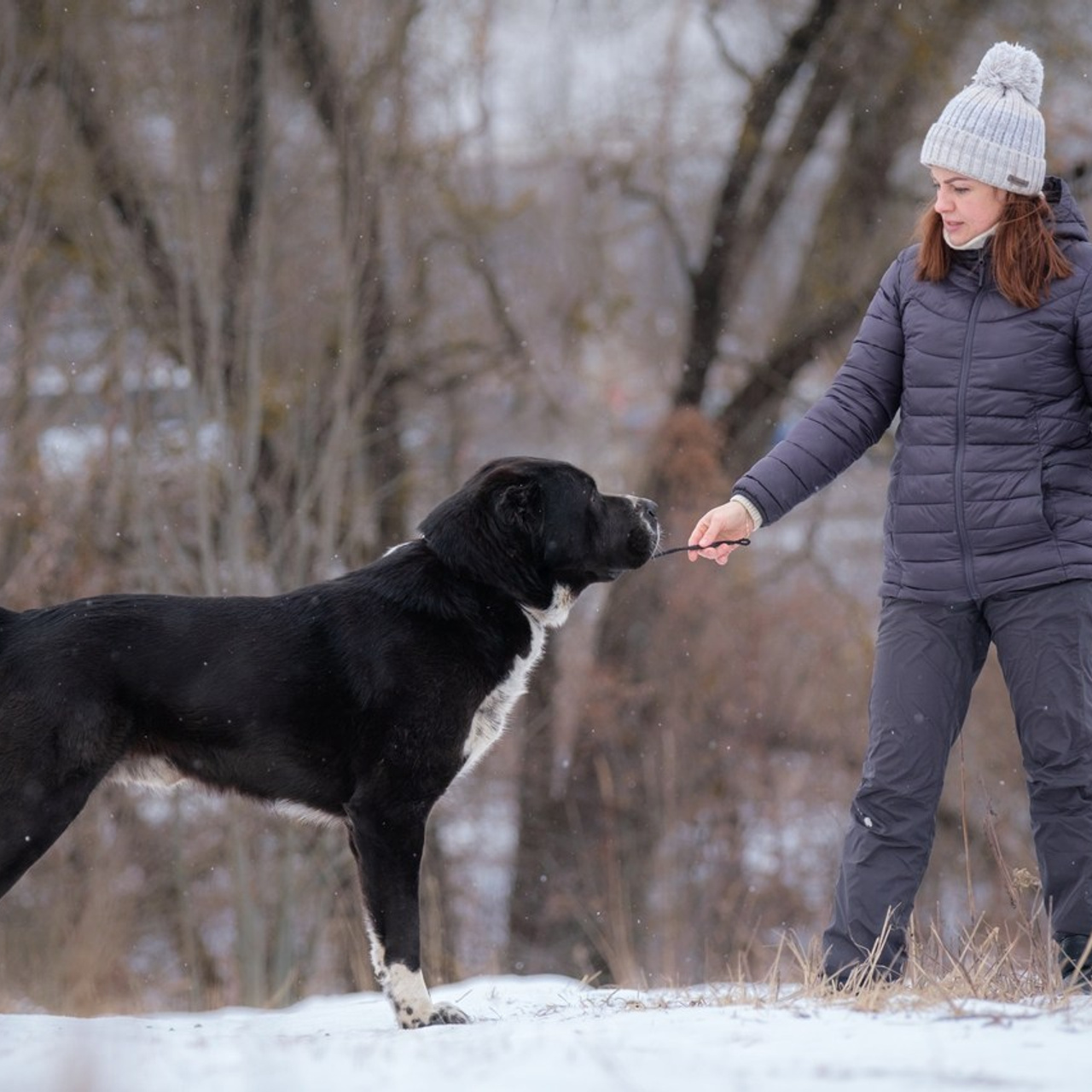 Отзывы. Зоофотограф, фотограф животных в Москве и области Дина Дамоцева