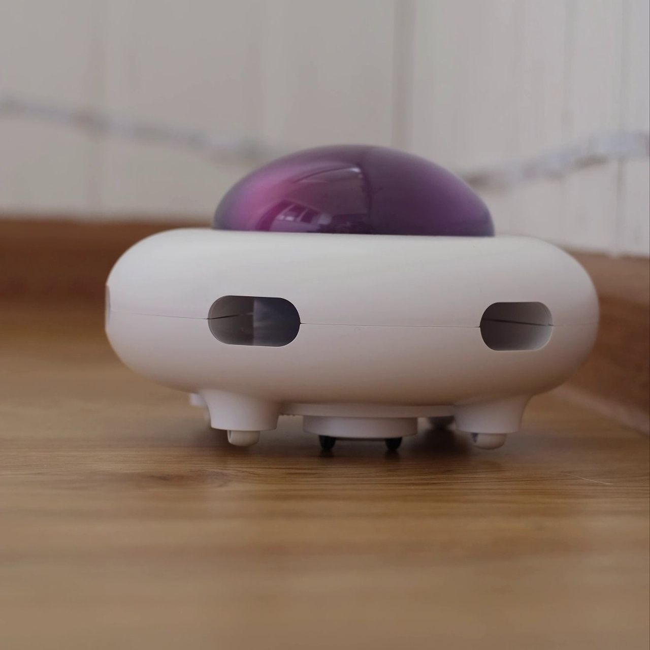 Отзывы. Зоофотограф, фотограф животных в Москве и области Дина Дамоцева